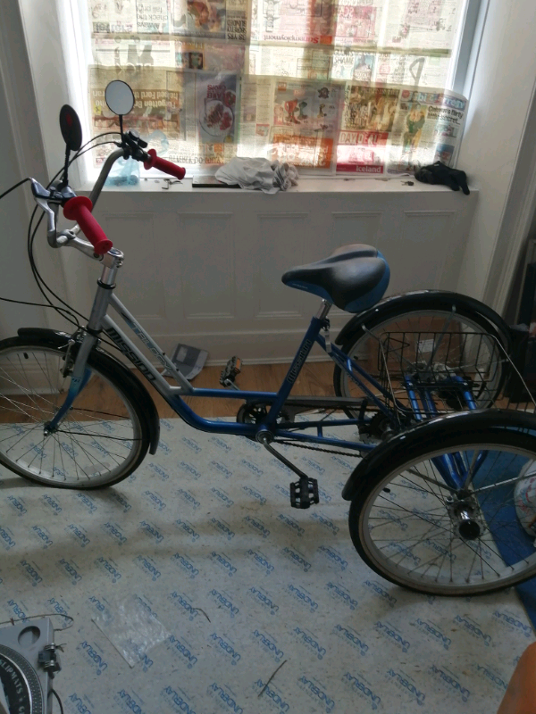 used 3 wheel bikes for adults with gears